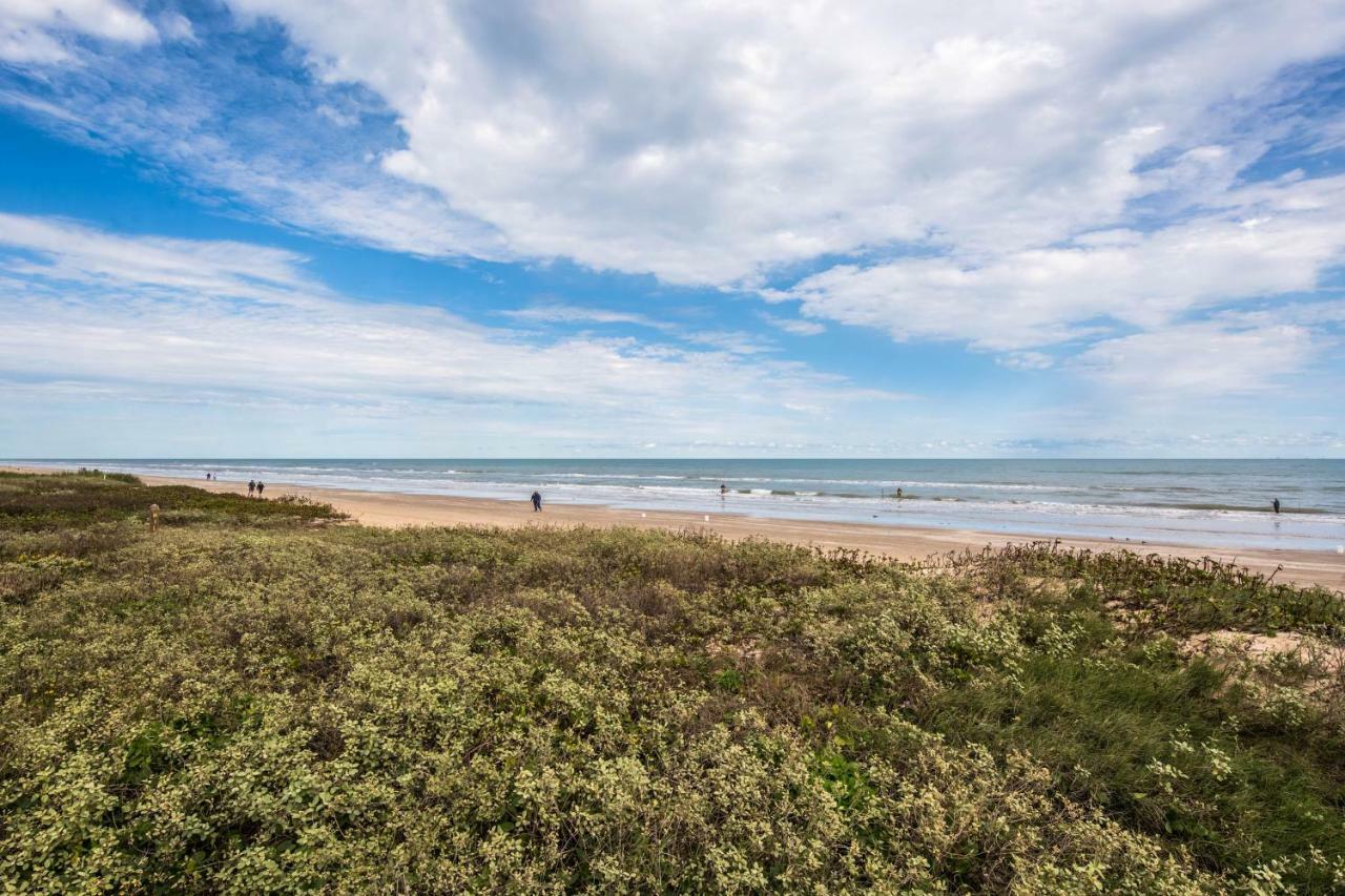 Apartament Palm Tree Escape South Padre Island Zewnętrze zdjęcie